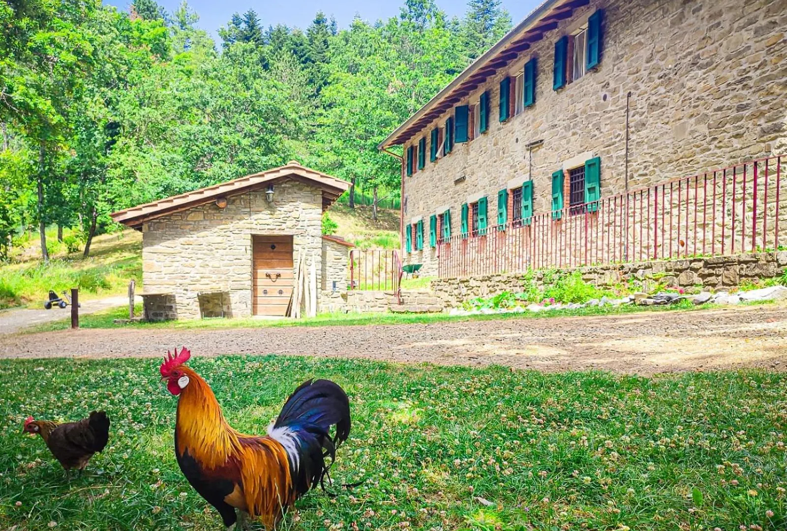Rifugio Sull'Alpe Di Catenaia Falciano Holiday home